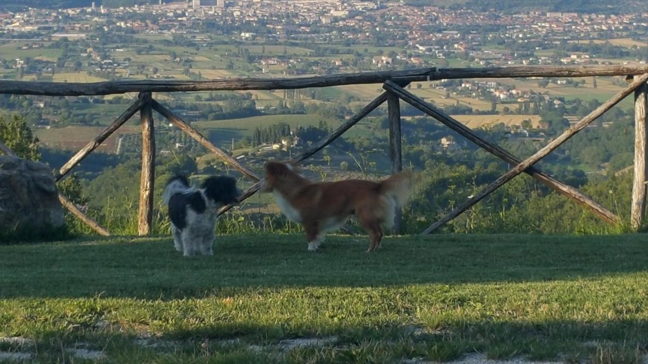 Agriturismo Countryhouse Le Giare غوبيو المظهر الخارجي الصورة