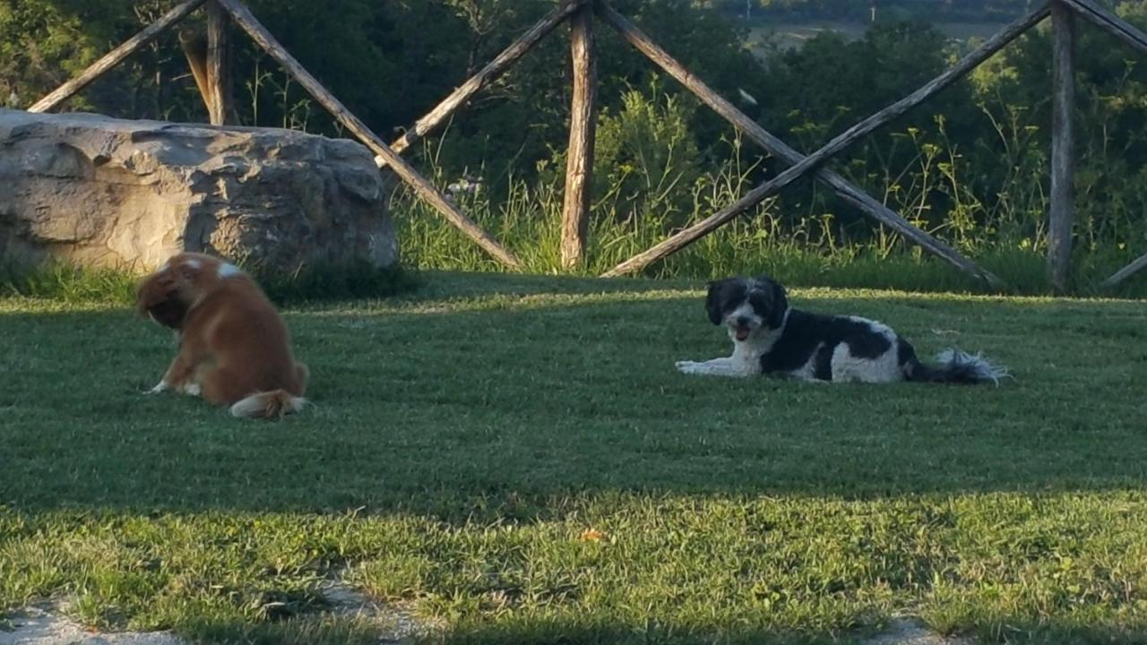 Agriturismo Countryhouse Le Giare غوبيو المظهر الخارجي الصورة